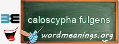 WordMeaning blackboard for caloscypha fulgens